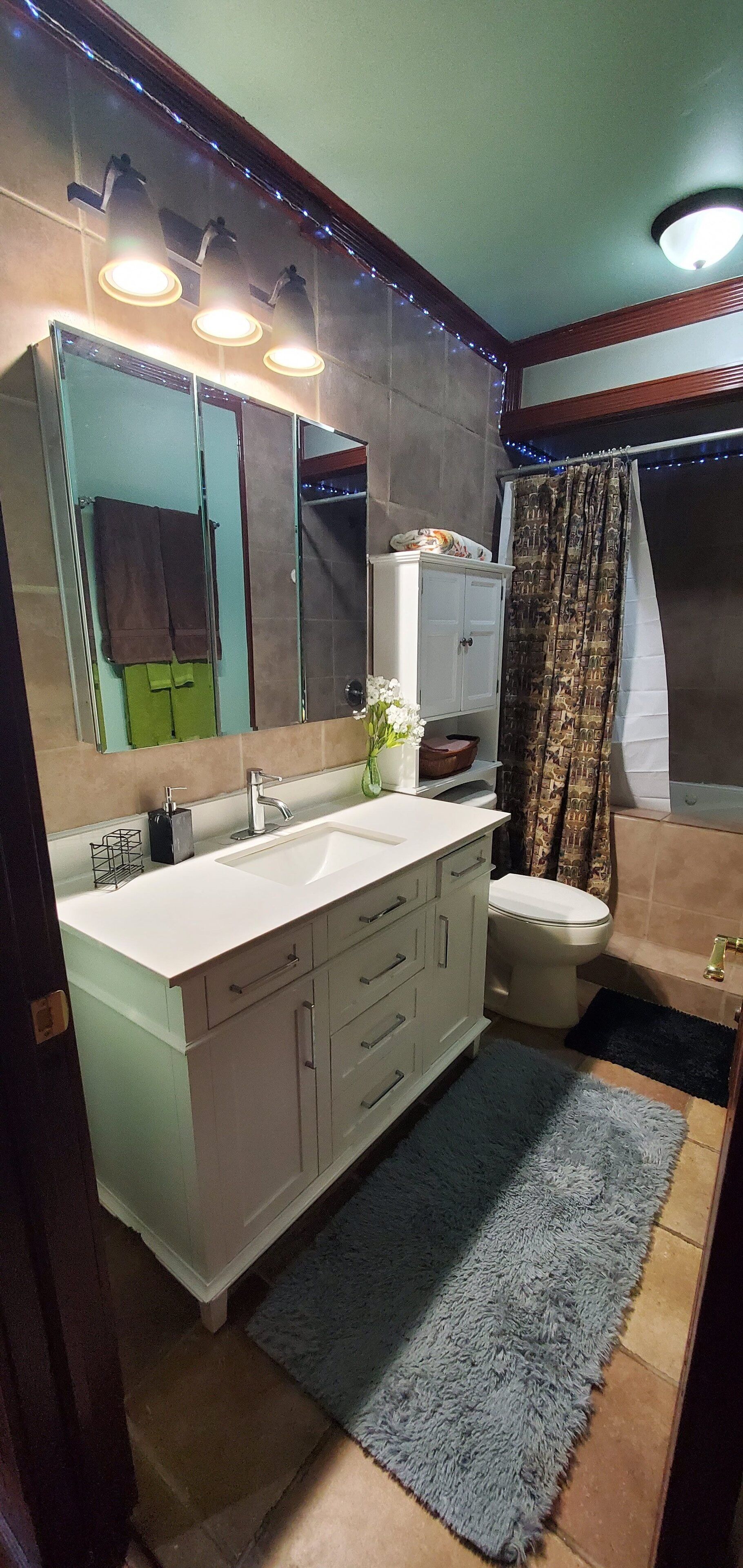 Magnificent 2 Bedroom, Loft Close to Downtown Duplex