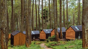 Eine Reihe aus Holzbungalows in einem Wald, mit einem Schotterweg.