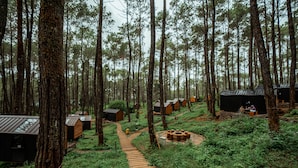Bosque con cabañas de madera y un área central con un hogar.