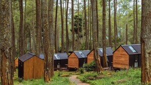 Una hilera de cabañas de madera en un bosque, con un camino de grava.