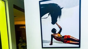Ein Flur mit einem gerahmten Kunstwerk, das eine Person in einem roten Kleid, ein gelber Sessel und eine Topfpflanze zeigt.