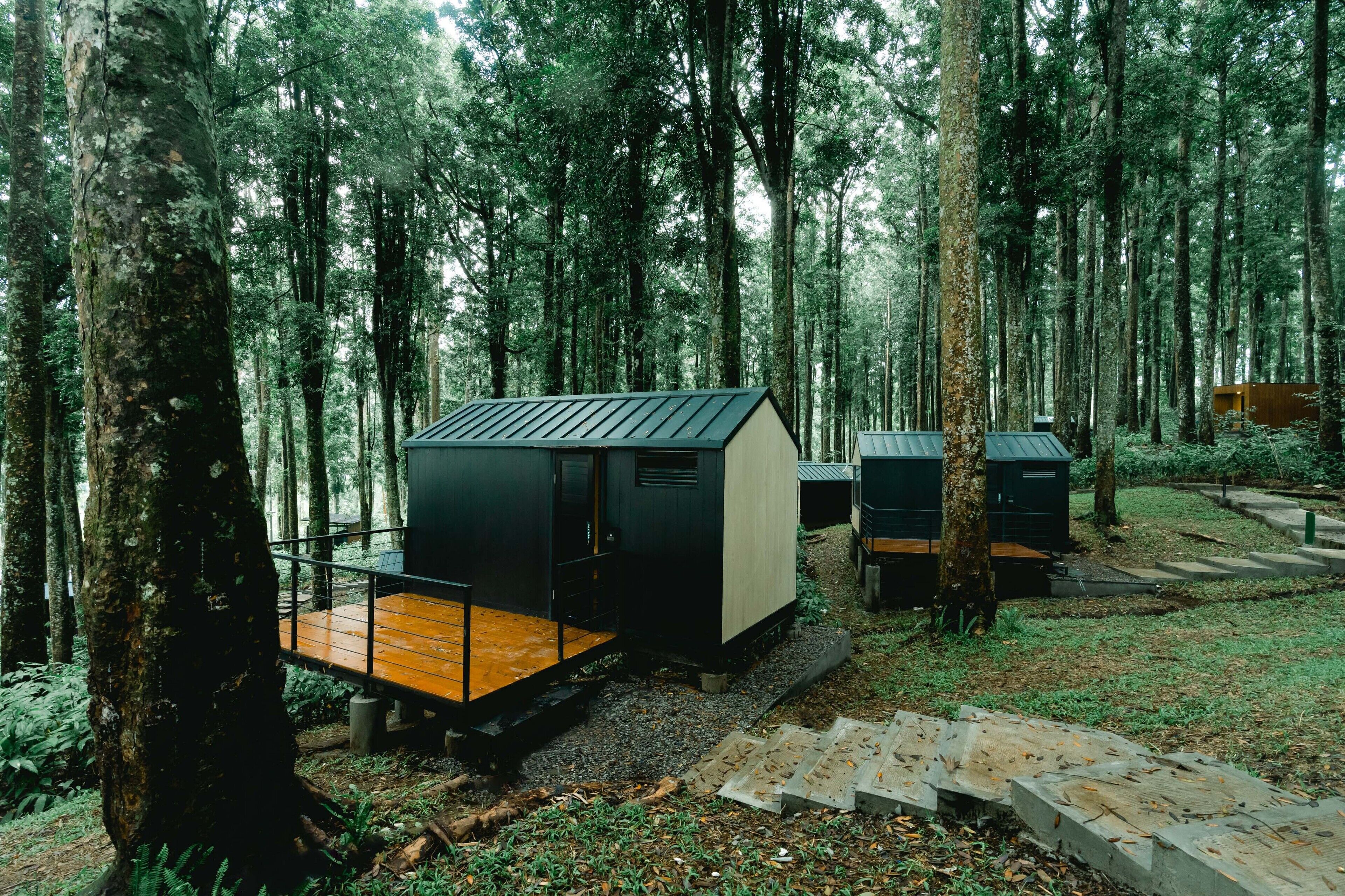 Un bosque con una cabaña y una construcción más pequeña.