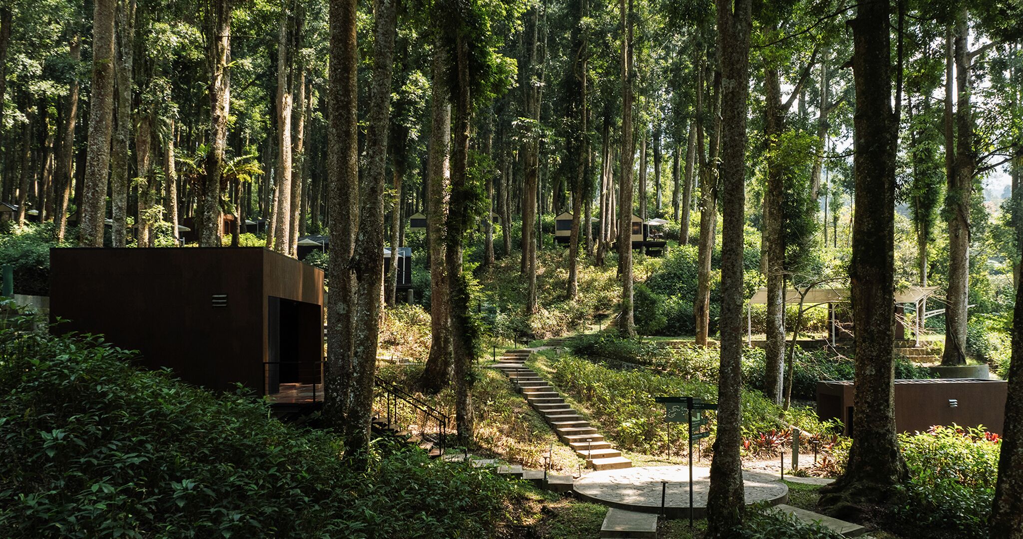 A forested area with a pathway leading to a modern building.