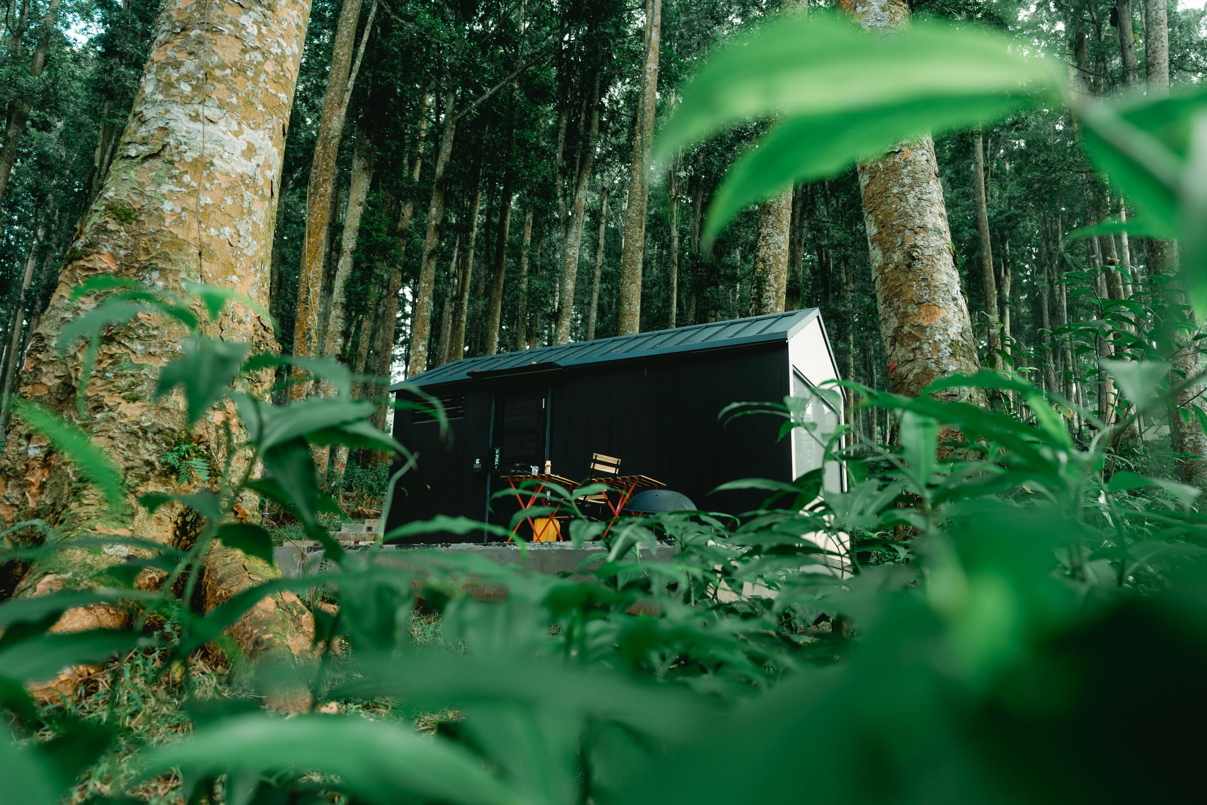 A cabin in a forest with a metal roof and a wooden deck.