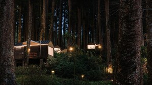 Un bosque con dos casas del árbol modernas, cada una con un balcón y una pequeña mesa.