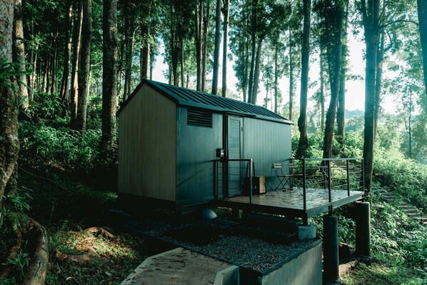 A small cabin with a deck, surrounded by dense forest.