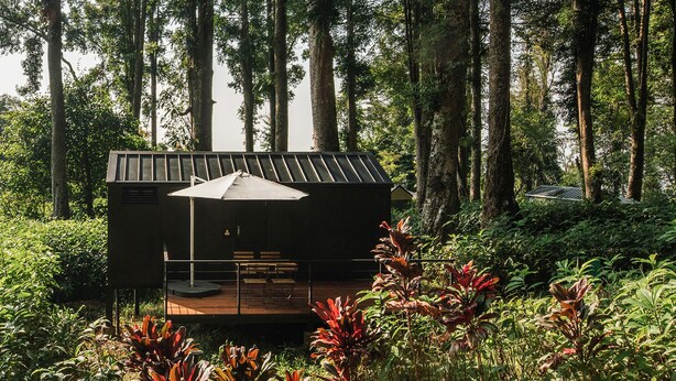 Una cabaña pequeña con terraza, rodeada de un bosque frondoso.