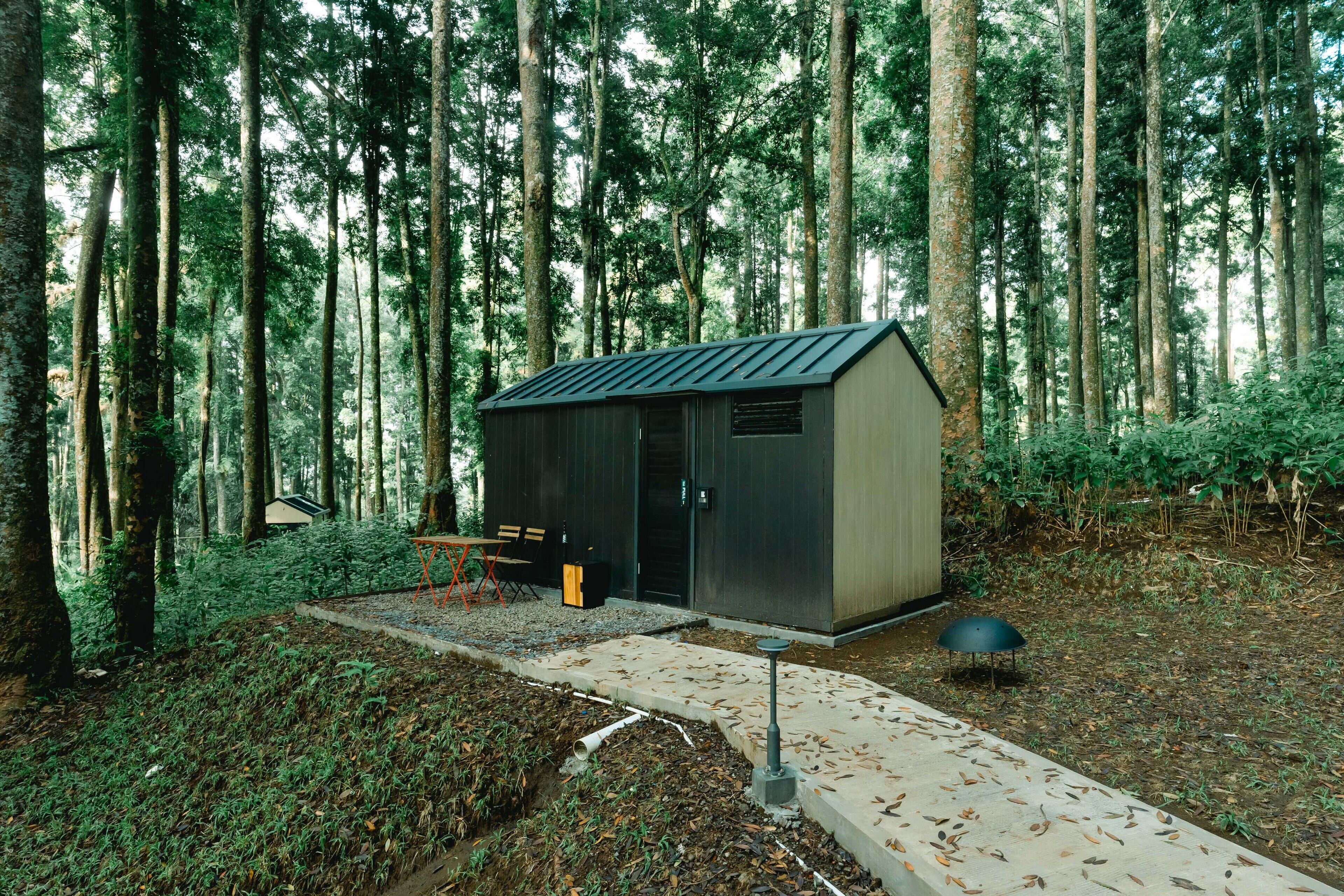 Eine kleine, moderne Holzhütte in einem Wald, verbunden durch einen Betonweg.