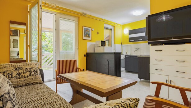 A living room with a sofa and a dining table, a kitchen with cabinets and appliances, and a TV on a cabinet.