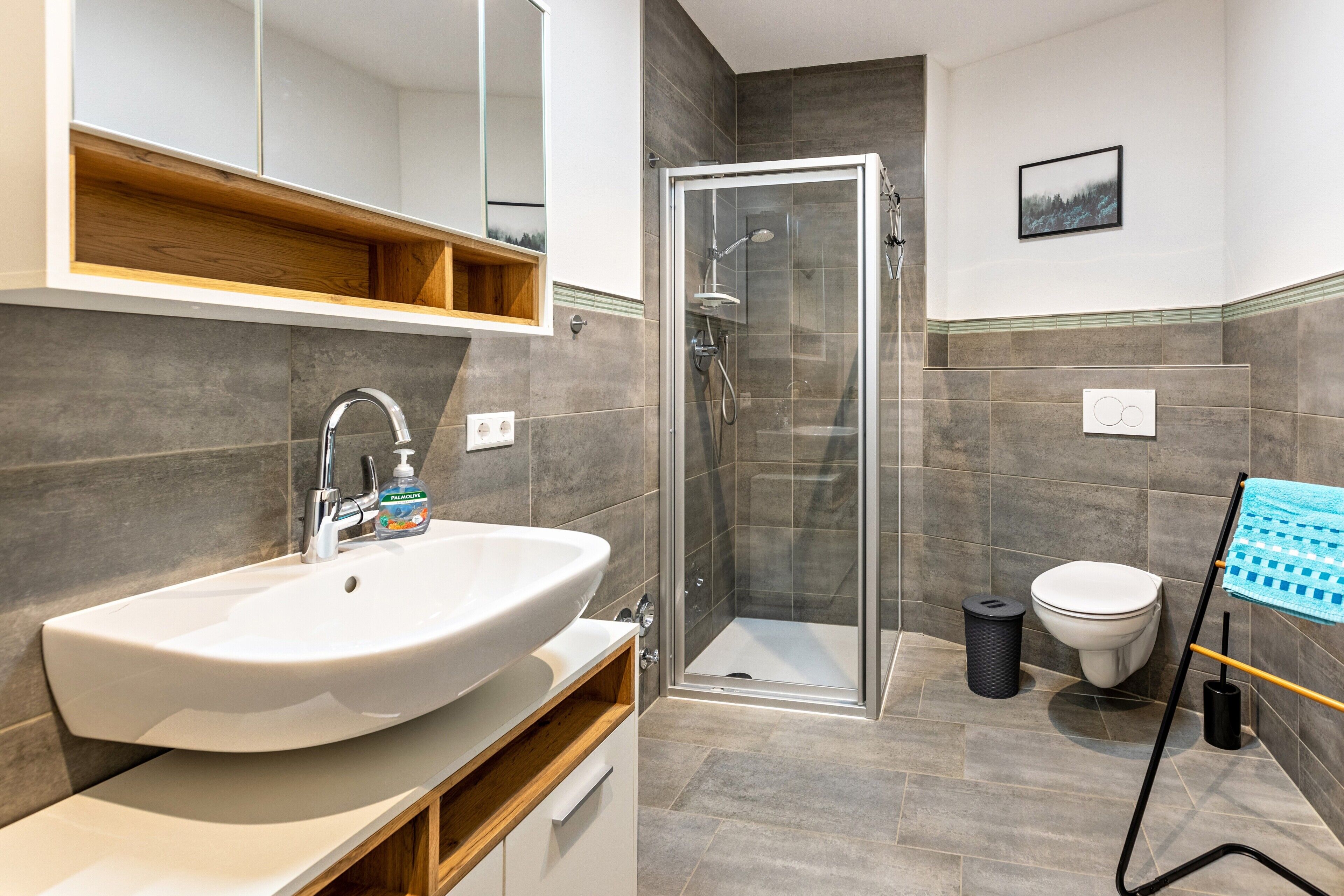 Shower, hair dryer, towels