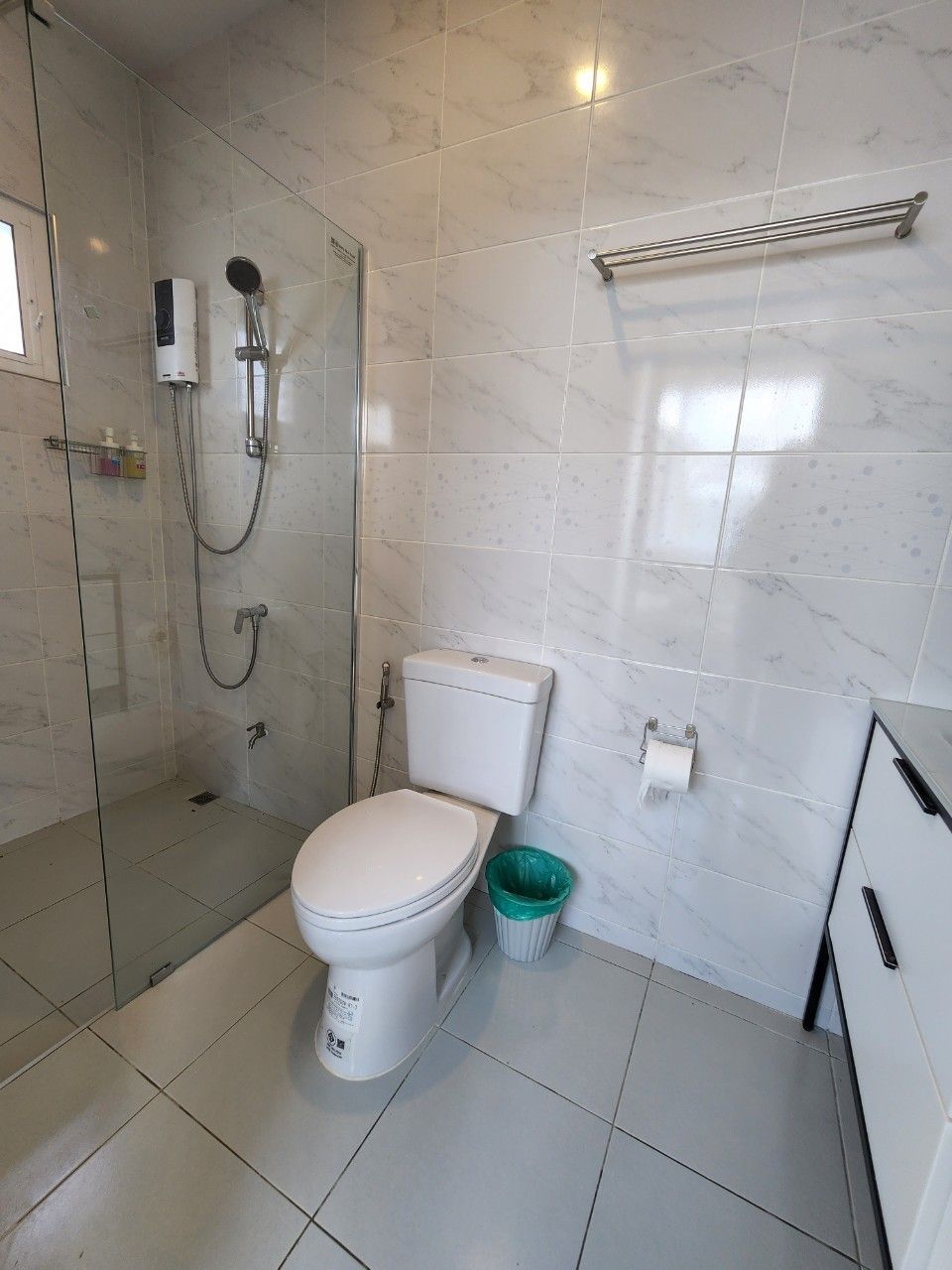 A bathroom with a toilet, a shower, and a glass-enclosed shower stall.