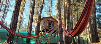 Beautiful Cabin in Algarrobo 3