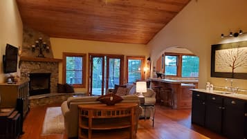 TV connectée, cheminée, livres, médiathÚque