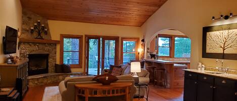 Smart TV, fireplace, books, music library