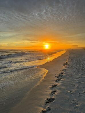 Beach nearby, sun-loungers, beach towels - ~Gem on G St~2BR~Downtown Pensacola~Furbabies~Walk to Restaurants & Supposey~ (Pensacola)