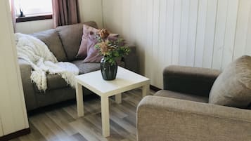 Flat-screen TV