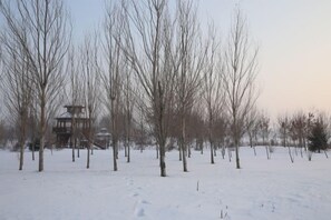 A snow-covered landscape with leafless trees and a wooden structure in the background.