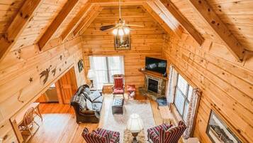 Smart TV, fireplace, books