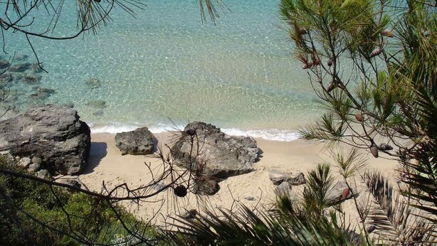 Una spiaggia con acque cristalline turchesi, una riva sabbiosa e pini.