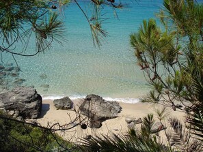 A beach with clear turquoise water, sandy shore, and pine trees. - Cute 2 bedroom villa in Svoronata, Kefalonia for your cozy and relaxing holiday (Svoronata)