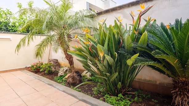 Un jardín ajardinado con diversas plantas y una zona de patio con baldosas.
