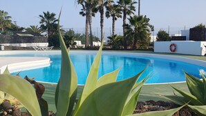 A swimming pool with a stone wall, palm trees, and a lifebuoy.