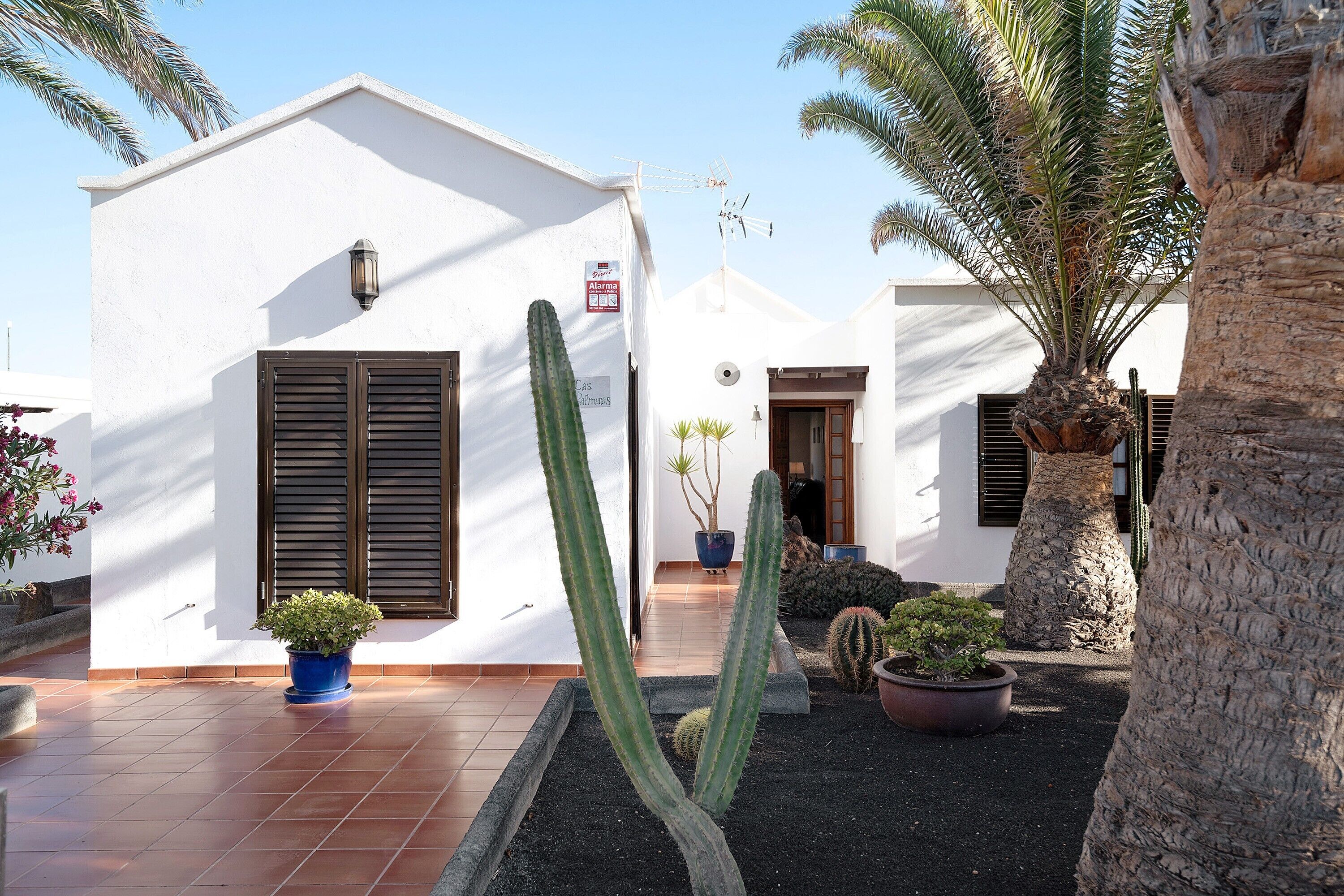 Detalle del exterior