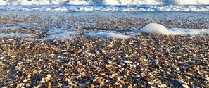 On the beach