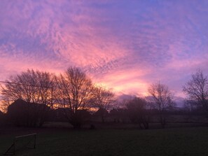 Exterior - Charming farmhouse with tree house and beautiful views (Bierbeek)