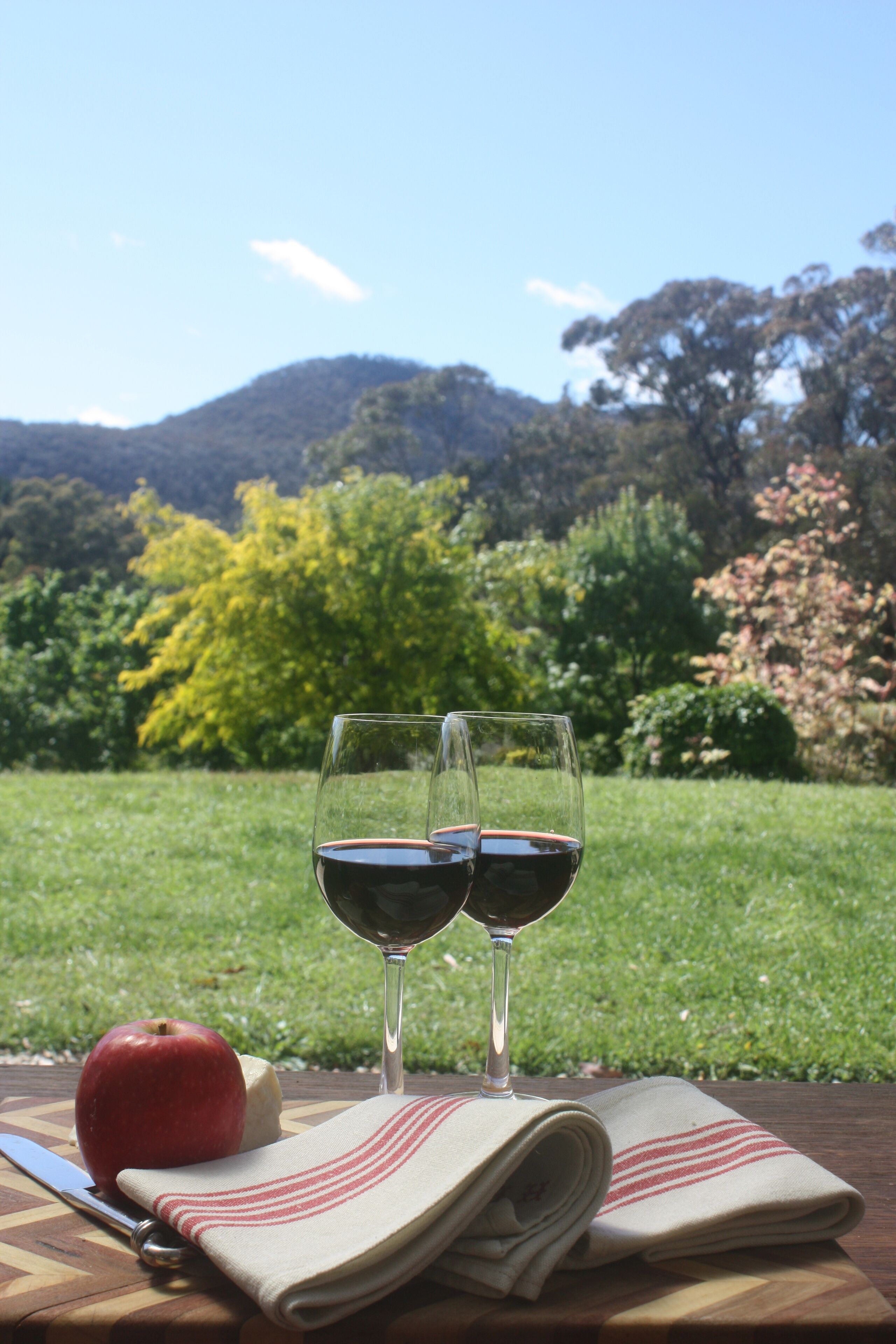 'Oaklands' tranquil established gardens