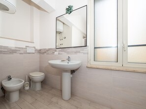 Shower, hair dryer, bidet, towels