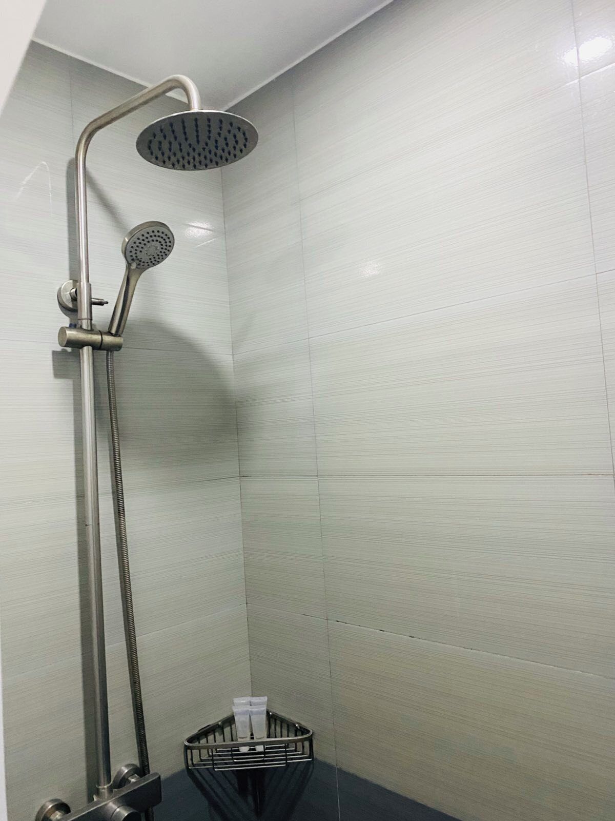 Dusche mit Handbrause und Kopfbrause, einer Metallhandstütze und einem kleinen Mülleimer.