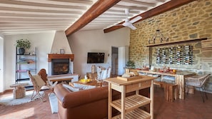 TV, fireplace