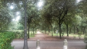 Un sentier bordé d’arbres et éclairé par un lampadaire, qui mène à un point de vue éloigné.