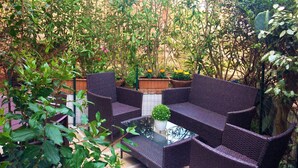 Terras