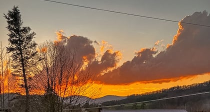 Pet-Friendly Stays for Leaf Peepers @ Petite Retreat