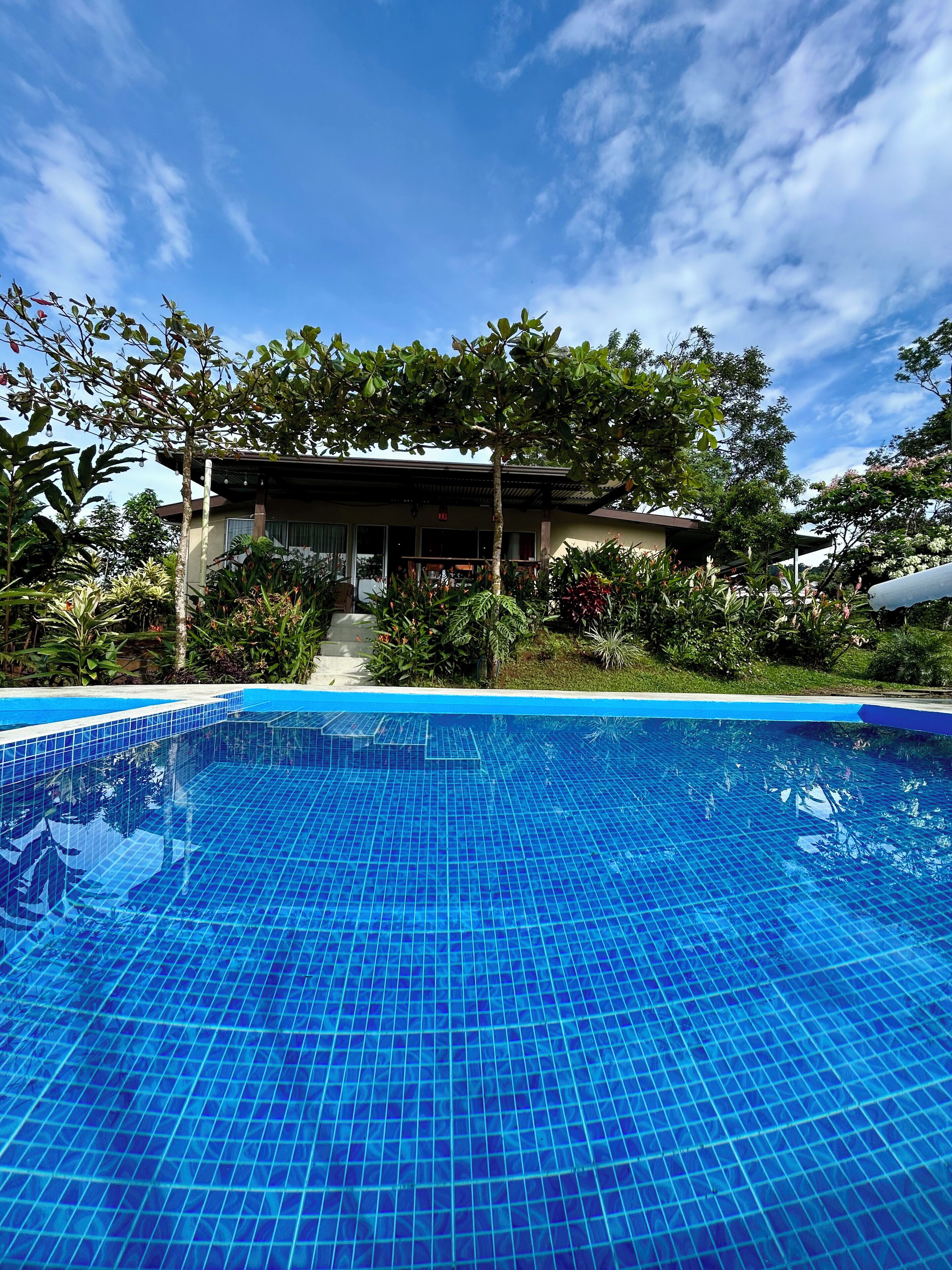 Alberca al aire libre 