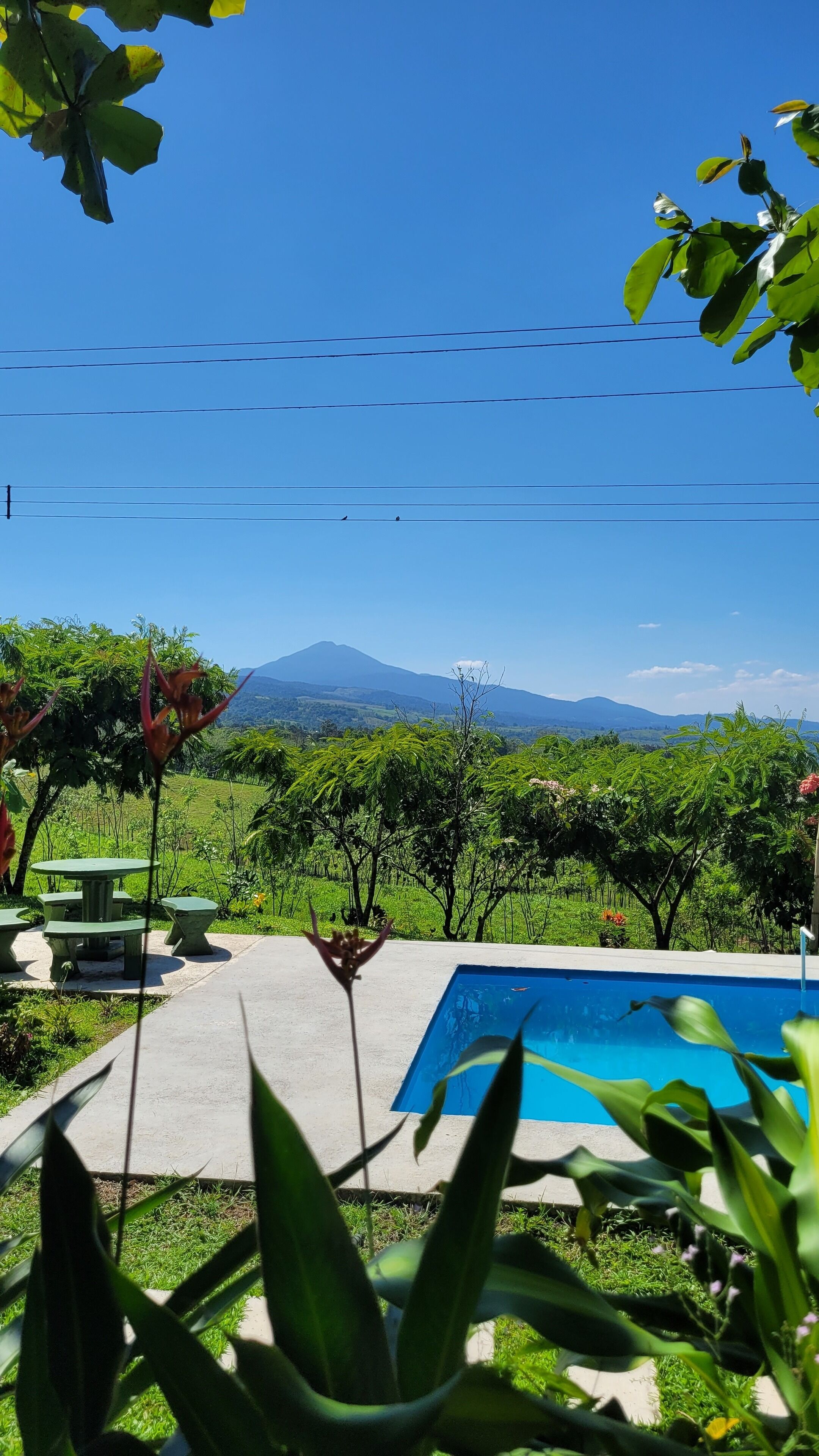 A pool area with a view of a mountain and power lines in the background.