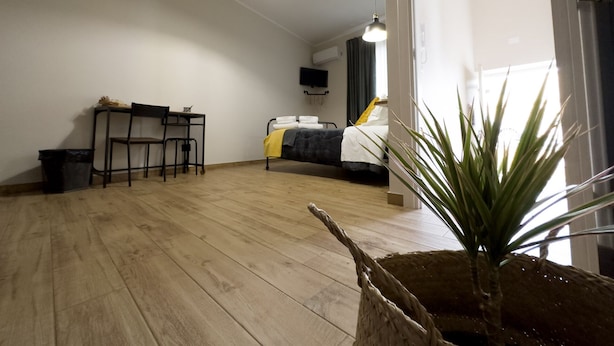 Une pièce comprenant un lit, un bureau, une chaise, une poubelle et une plante en pot.