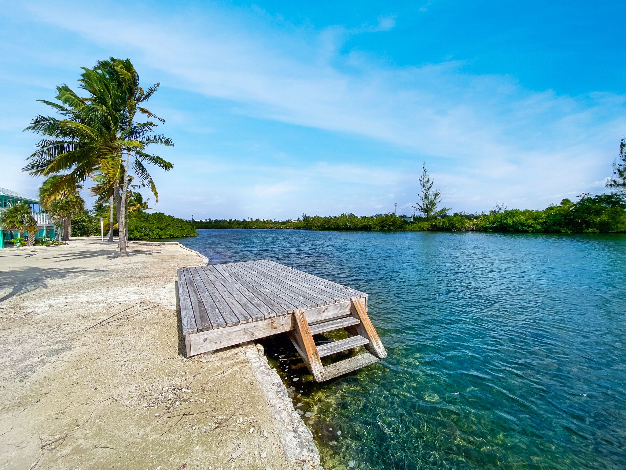 A wooden dock extending into clear blue water, surrounded by lush greenery and a few palm trees.