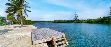 A wooden dock extending into clear blue water, surrounded by lush greenery and a few palm trees.