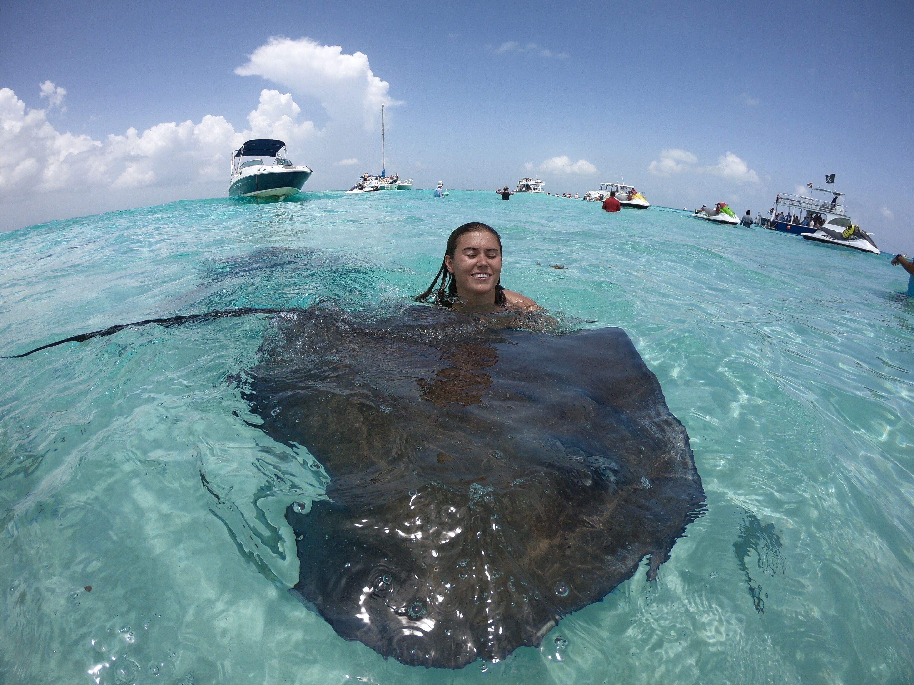 A person swimming with a stingray in clear turquoise water.