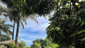 Terraço/pátio