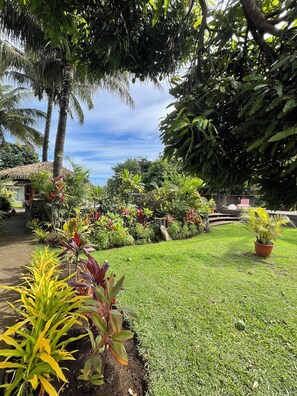 Terrace/patio - Chez Maria Goretti Hotel (Hanga Roa)