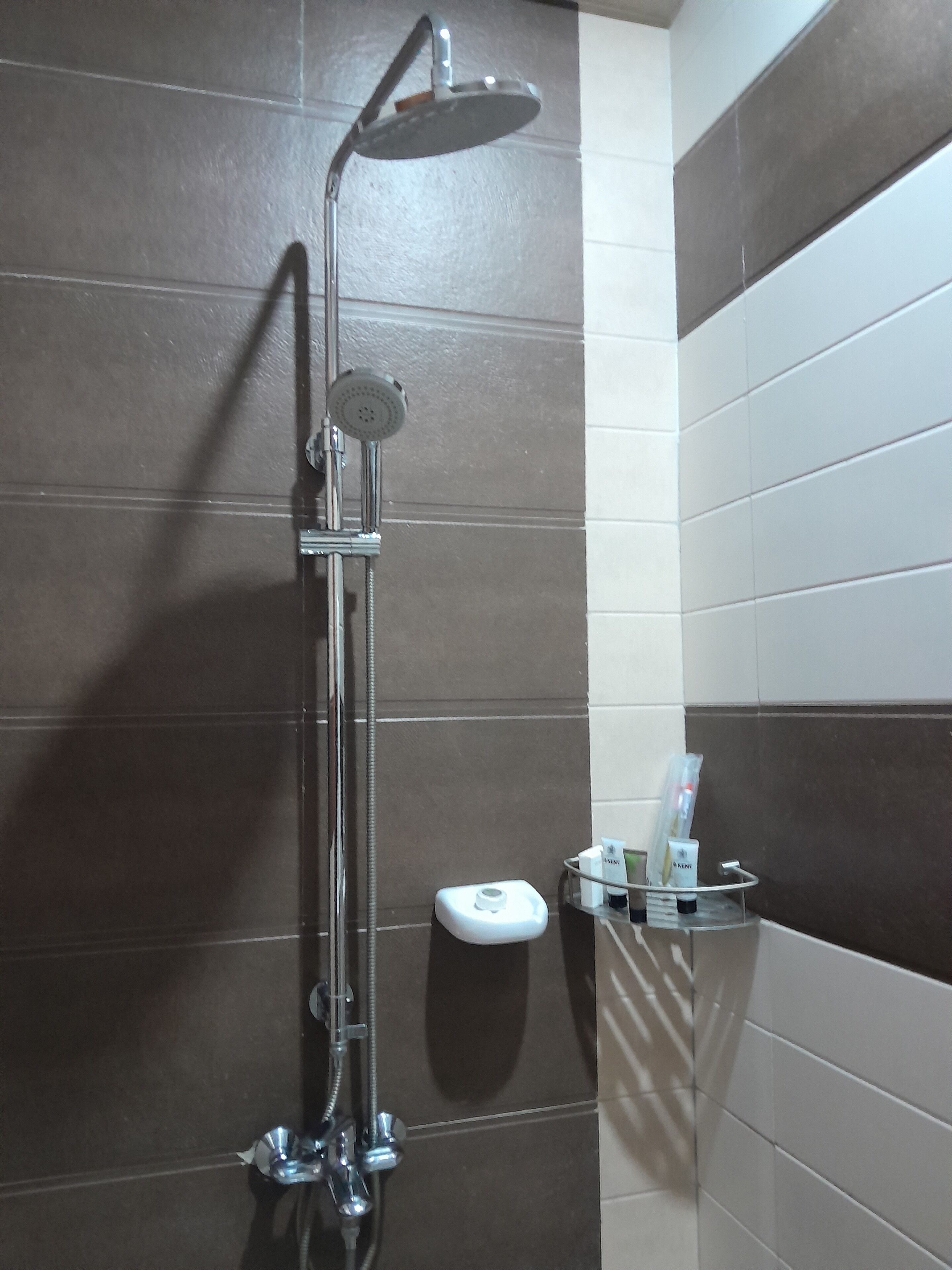 Separate bathtub and shower, hair dryer, bidet, towels