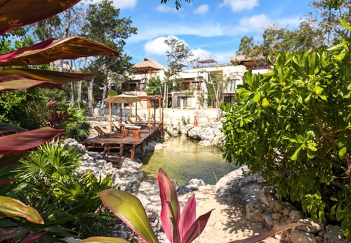 Ideal for Groups! Private Roof Pool Condos+Cenotes