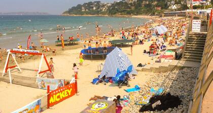 Appart vue Mer, 100m de la Plage, Avec Terrasse et Parking Privé