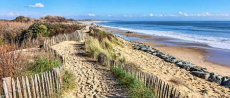 Strand