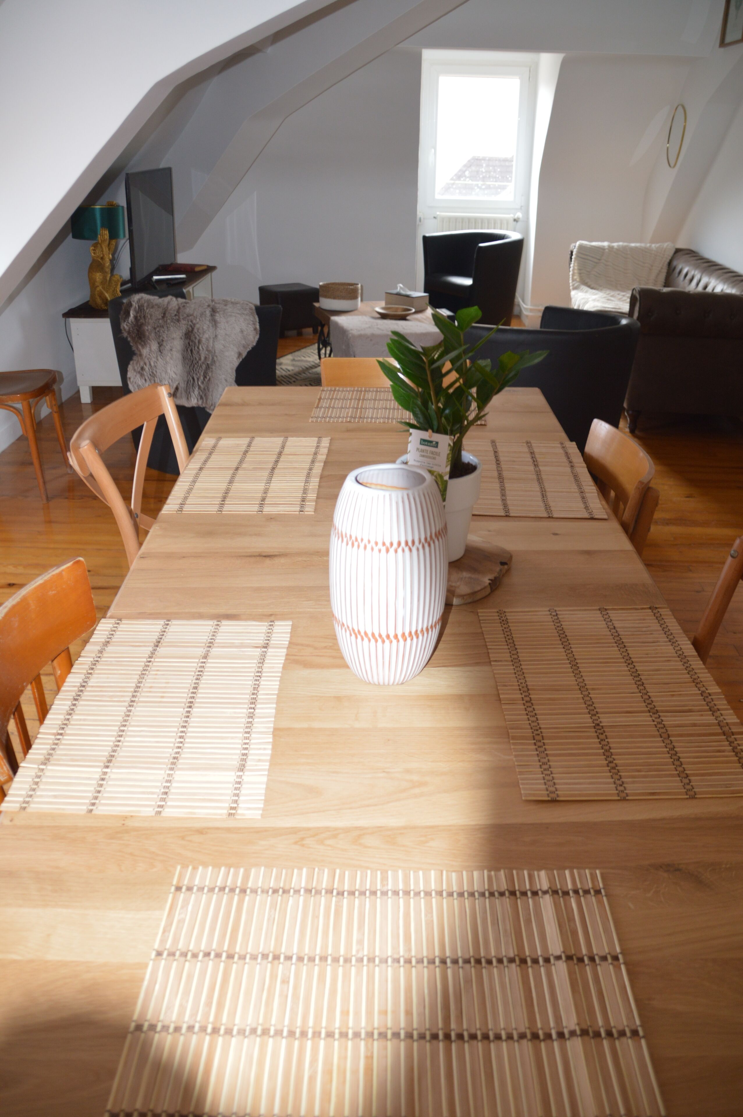 Un coin repas avec une table en bois, des chaises et une plante en pot.