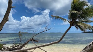 A beach with clear water, a palm tree, and a distant island. - La Villa d'à Côté (Le Marin)
